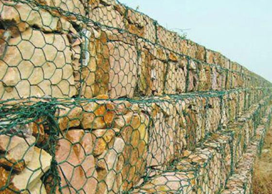 PVC покрыл антисептик Gabion сварил для ячеистой сет сети горячей гальванизированной темноты ой-зелен