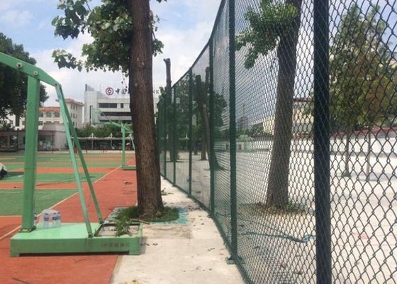 Окунутое горячее гальванизировало дружелюбное загородки звена цепи диаманта 8FT экологическое
