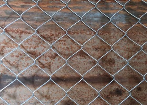 Pvc 3.0mm покрыл гальванизированную загородку звена цепи с краем извива костяшки